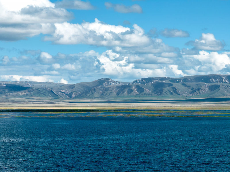 5-Day Gansu Gannan Grassland Vacation Tour (Amigonghong Camp + Ganjia Secret Realm Camp + Zhagana Light Trekking + Grassland Horse Riding Experience + Sang Offering Prayer) - What the driver and private-car setup add
