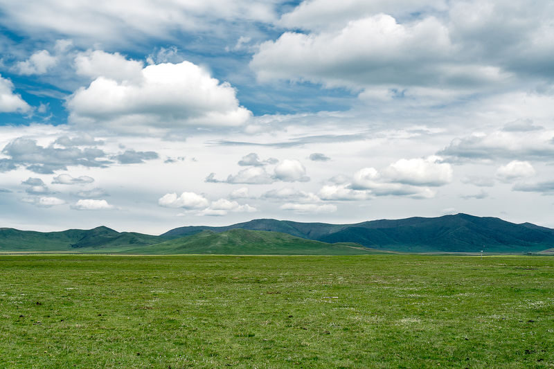 5-Day Gansu Gannan Grassland Vacation Tour (Amigonghong Camp + Ganjia Secret Realm Camp + Zhagana Light Trekking + Grassland Horse Riding Experience + Sang Offering Prayer) - Should you book this Gannan tour?