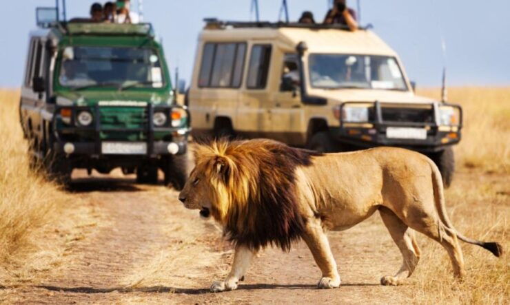 5 Day Garden Route Tour From Cape Town + Addo National Park - Tour Duration and Pricing
