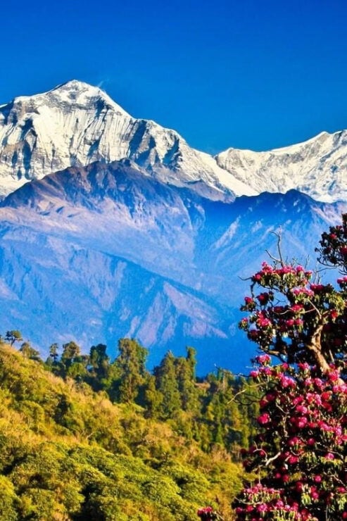 5-Day Ghorepani and Poon Hill Private Trek Pokhara - Detailed Itinerary Breakdown