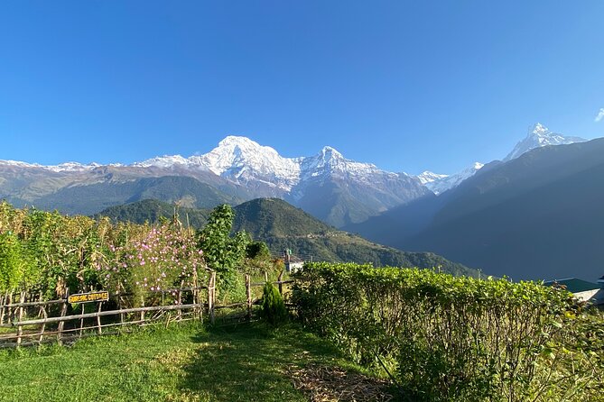 5-Day Ghorepani Poon Hill Trek From Kathmandu - Trek Itinerary
