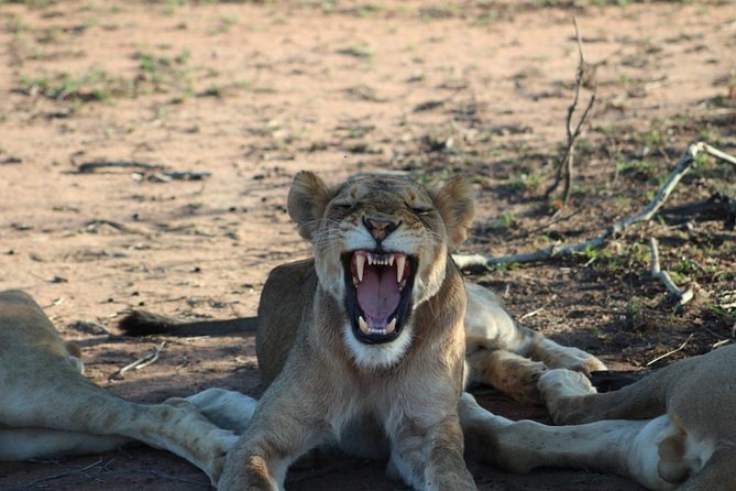 5 Day Greater Kruger National Park Adventure Safari - Itinerary Overview