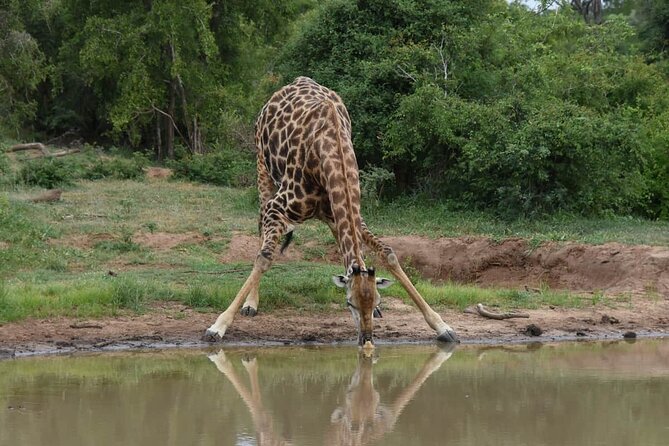 5 Day Honeymoon Safari at Kapama Karula Lodge Private Tour - Tour Details and Activities