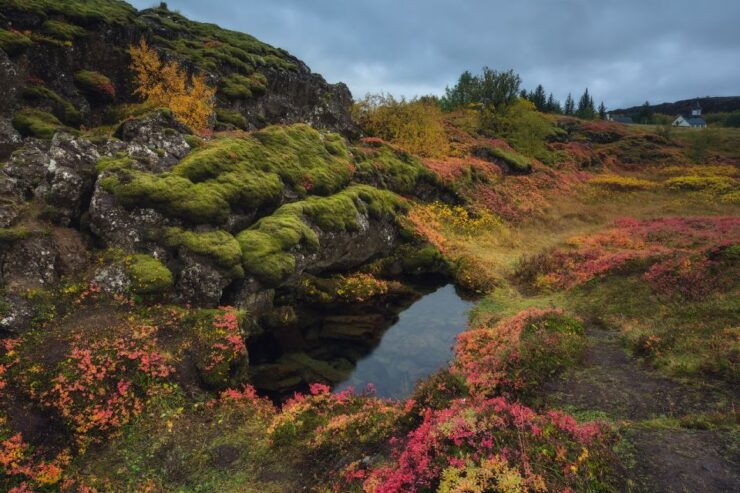 5 Day Iceland Winter Vacation - Tour Itinerary and Highlights