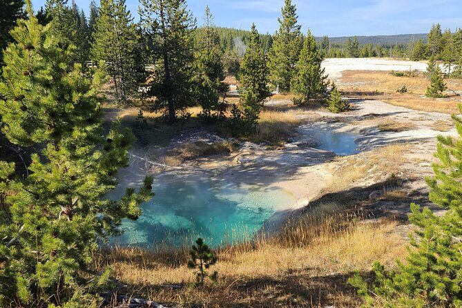 5-day In-Depth Yellowstone and Grand Teton National Park Tour - Who Will Love This Tour?