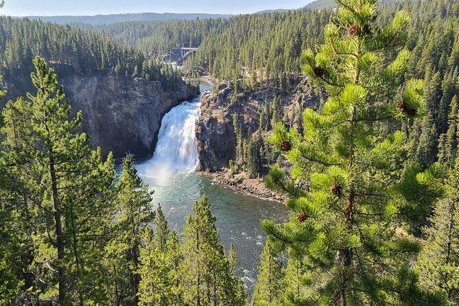 5-day In-Depth Yellowstone and Grand Teton National Park Tour - Final Thoughts