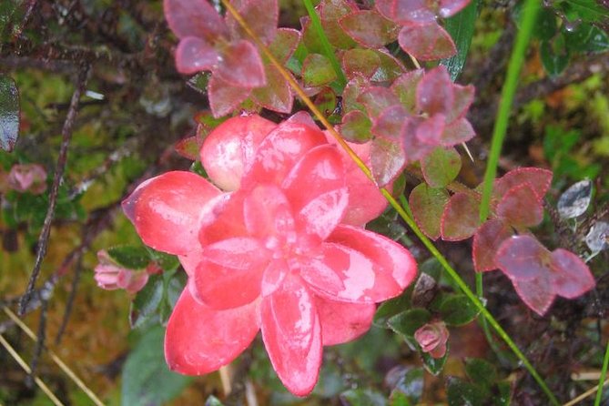 5 Day - Inca Trail Express to Machu Picchu - Group Service - Group Size and Accommodation