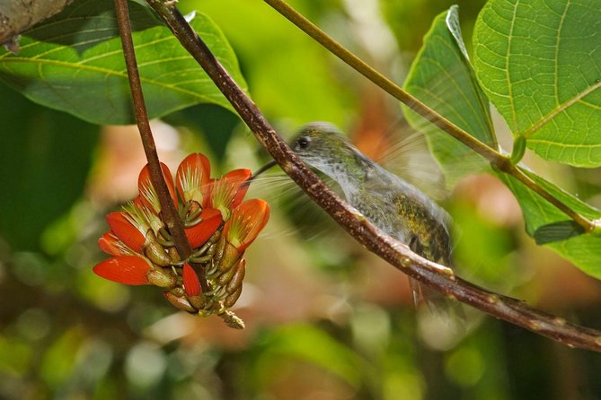 5 Day - Inca Trail Express to Machu Picchu - Group Service - Common Questions