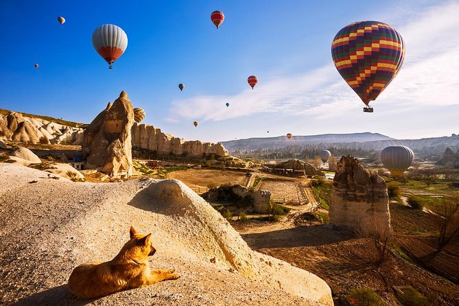 5-Day Istanbul and Cappadocia Tour Including Hot Air Balloon Flight - Accommodation Details