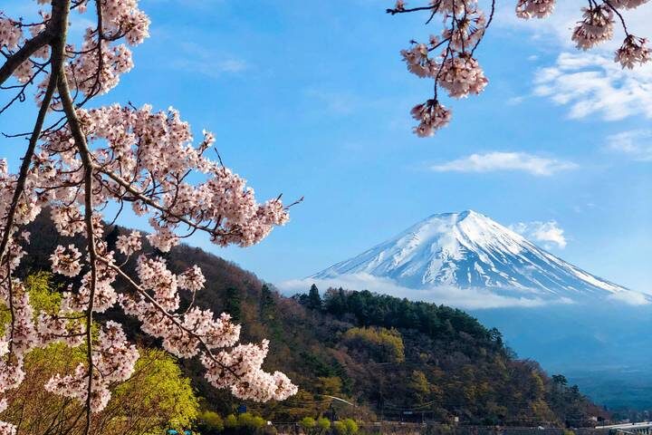 5-Day Japan Tour: Tokyo & Mt Fuji by The Dragon Trip - At a glance