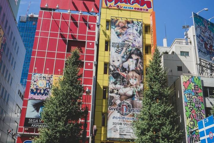 5-Day Japan Tour: Tokyo & Mt Fuji by The Dragon Trip - Day 5: A simple farewell