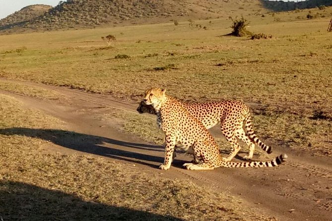 5 Day Kenya Budget Camping Group Safari Tour - Accommodation Details