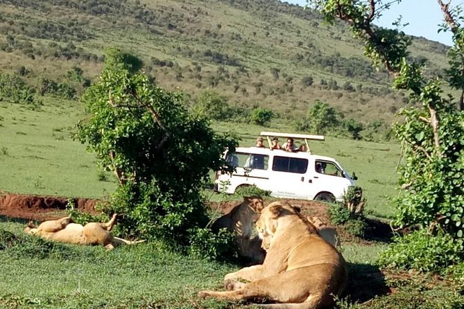 5 Day Kenya Budget Camping Group Safari Tour - Optional Activities