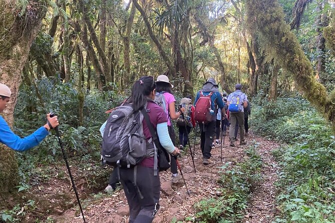 5 Day Kilimanjaro Climb Through Marangu Route With Huts - Pickup Information