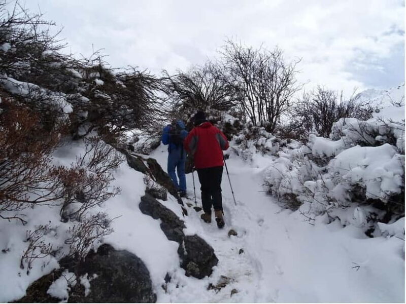 5 Day Langtang Valley Trek; Guide; Transport; permit - Introduction