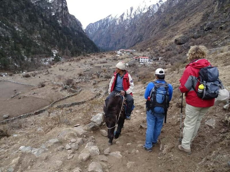 5 Day Langtang Valley Trek; Guide; Transport; permit - FAQ
