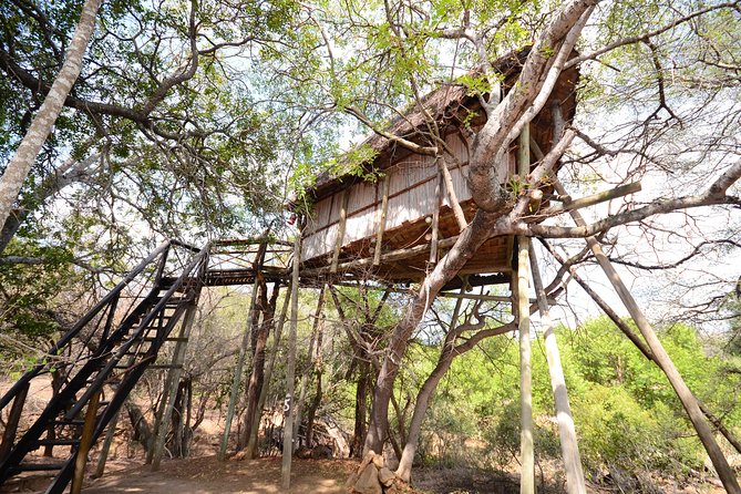 5 Day Lodge and Treehouse Kruger National Park Safari - The Sum Up