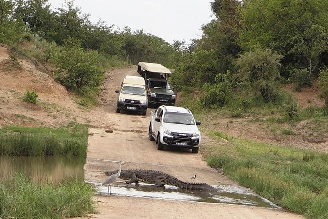 5 Day Luxury Safari Serengeti,Ngorongoro, Lake Manyara, Tarangire National Park - Meeting and Pickup Details