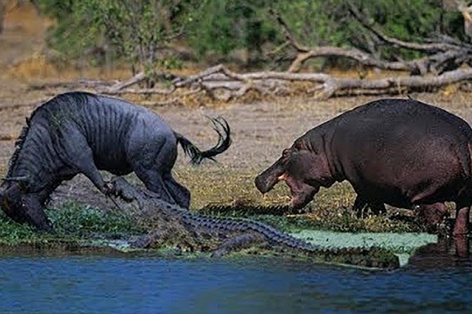 5 Day Luxury Safari Serengeti,Ngorongoro, Lake Manyara, Tarangire National Park - Transportation Details