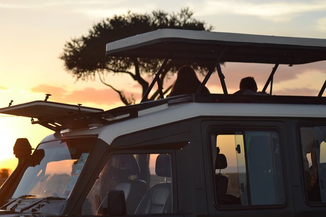 5-Day Maasai Mara and Ol Pejeta Conservancy Guided Safari - Safari Highlights