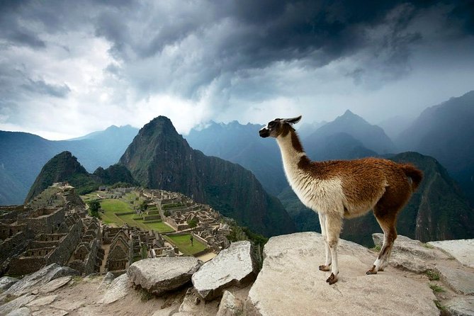 5-Day Machu Picchu and Highlights of Cusco - Tour Details