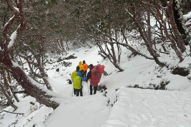 5 Day Mardi Himal Base Camp Trek in Pokhara - Practical Details and Considerations