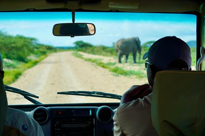 5-Day Mid-Range Safari in Tanzania - The Sum Up