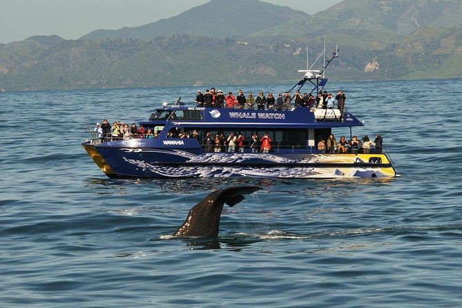5-Day New Zealand North and South Island Highlights Tour - The Sum Up