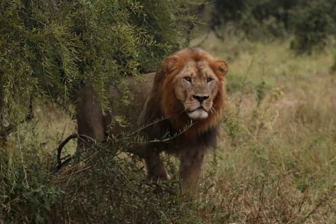 5-Day Okavango Delta & Boteti River Tented Safari - Inclusions and Exclusions