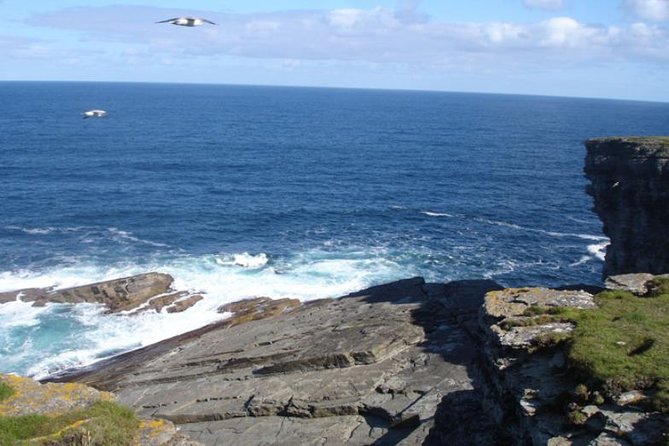 5-Day Orkney & Northern Coast Tour From Edinburgh Incl Admissions - Positive Feedback and Recommendations