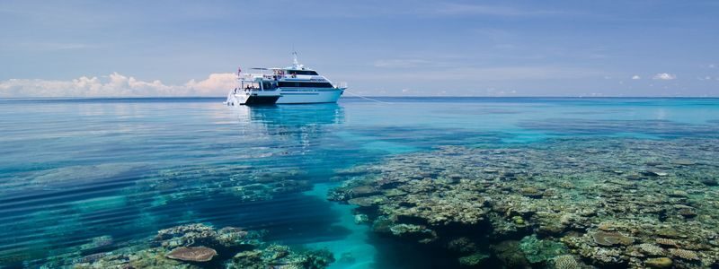5 Day PADI Learn to Dive in Cairns - From classroom basics to the open sea