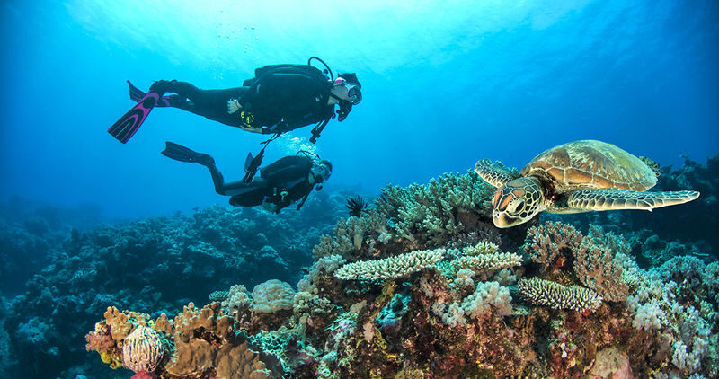 5 Day PADI Learn to Dive in Cairns - Day three: the boat heads to the Outer Reef