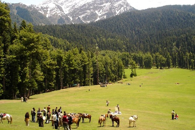 5 Day Paradise Kashmir Tour - Important Information