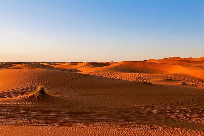 5-Day Paris-Dakar Tracks Guided Tour Through Sahara Desert - Good To Know