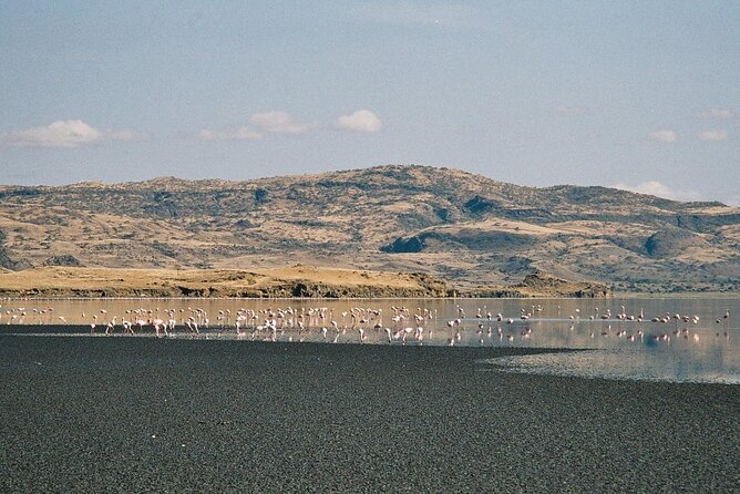 5-Day Private Adventure Tour to Ngorongoro Conservation Area - Tour Guides