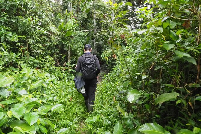 5-Day Private Extreme Amazon Experience - Experience Details