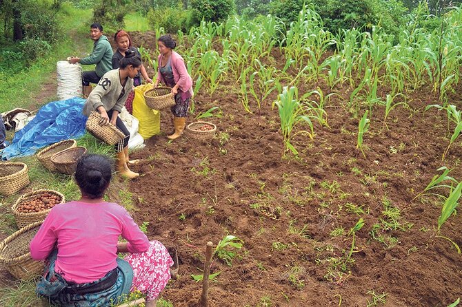 5-Day Private Farming Experience in Nayapul With Accommodation - Daily Itinerary