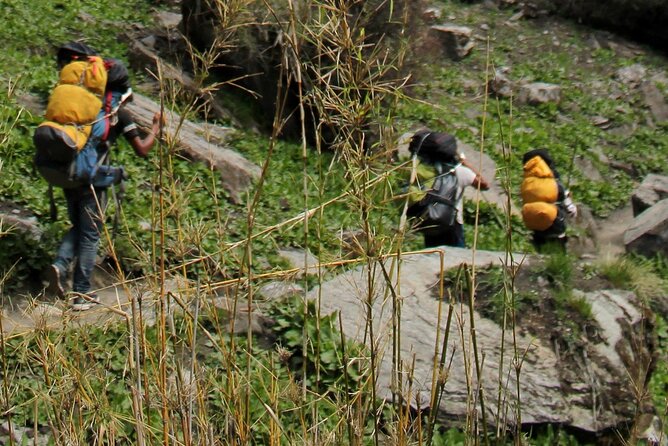 5 Day Private Guided Trekking in Annapurna Base Camp - Booking and Terms