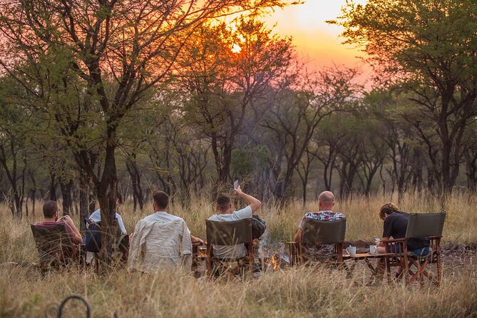 5-Day Private Safari Tour in Tanzanias Wildlife - Accommodation and Dining Details