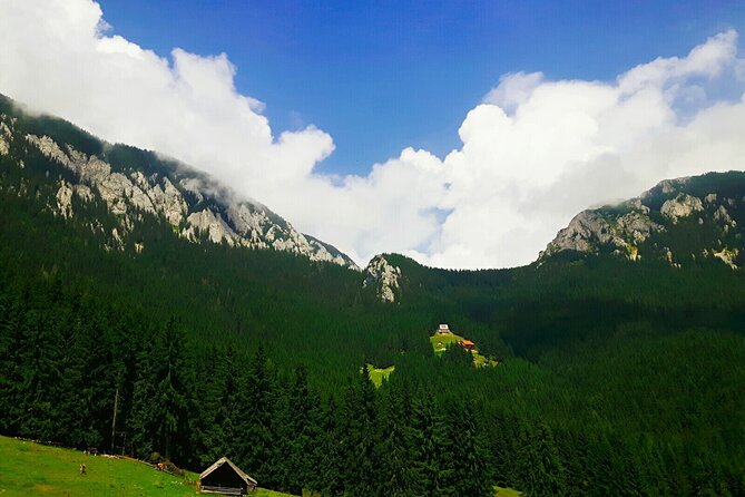 5-Day Private Tour Bucharest, Wallachia and Transylvania - Itinerary Overview