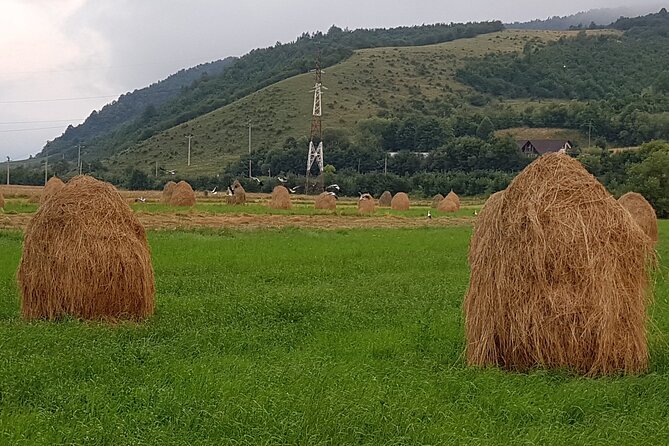 5-Day Private Tour Bucharest, Wallachia and Transylvania - Sightseeing and Activities