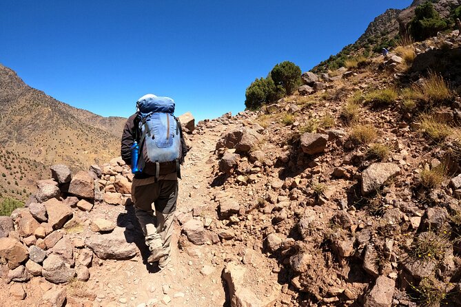 5-Day Private Tour From Marrakech to Mt Toubkal and Sahara Desert - Booking and Contact Details