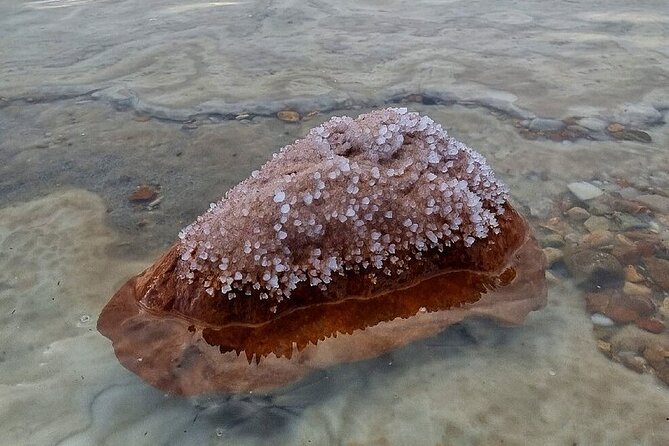 5-Day Private Tour in Jordan Ancient Adventure - Frequently Asked Questions