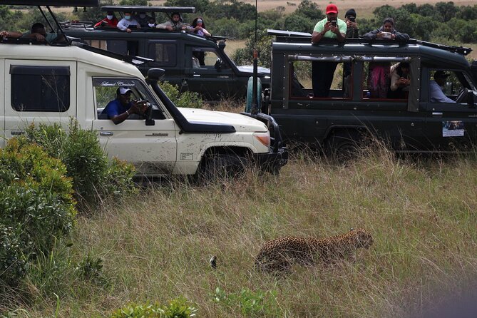 5-Day Private Tour in Kenyas Best Game Parks - Day 3: Discover Amboseli National Park