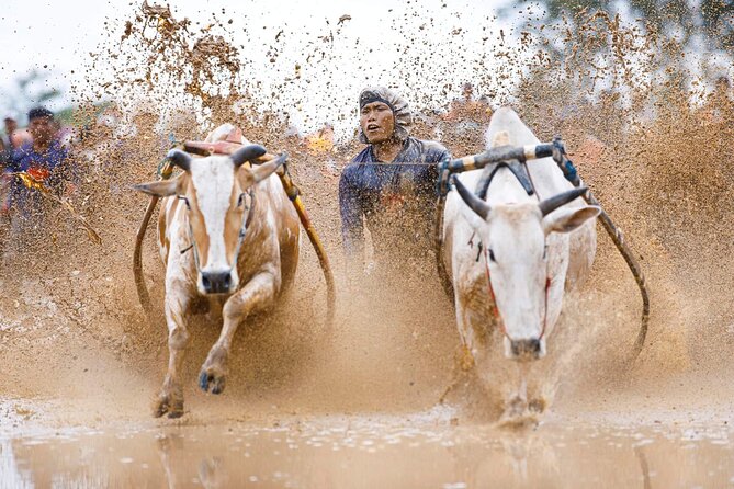 5-Day Private Tour in West Sumatera - Tour Pricing and Booking Details