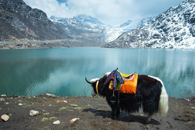 5-Day Private Tour of Gangtok and Darjeeling - Itinerary Highlights