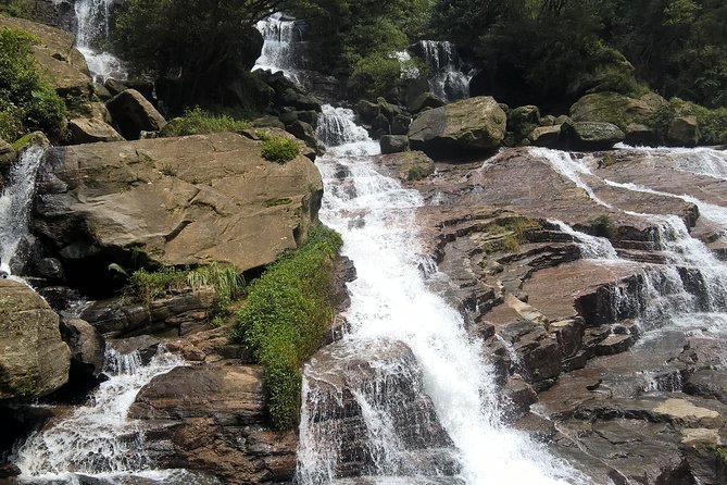 5 Day Private Tour Sri Lanka - Pickup and Meeting Information