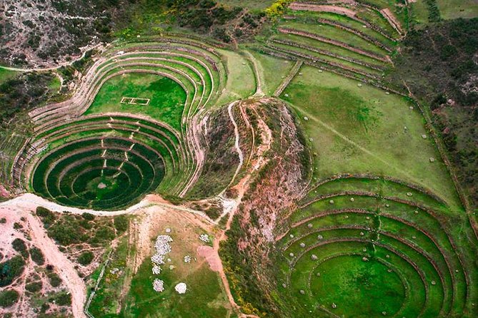 5 Day Sacred Valley, Cusco and Short Inca Trail to Machu Picchu - Reviews and Ratings