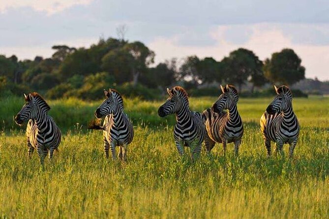 5 Day Safari in Tarangire, Serengeti and Ngorongoro Wonders - Cultural Experiences