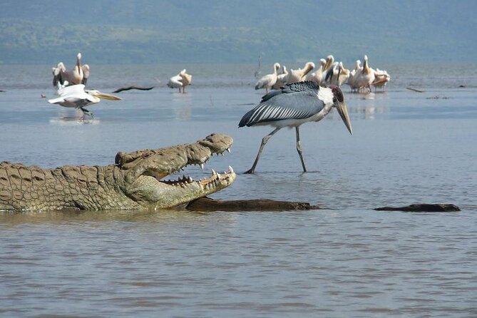 5 Day Safari in Tarangire, Serengeti and Ngorongoro Wonders - Booking Information